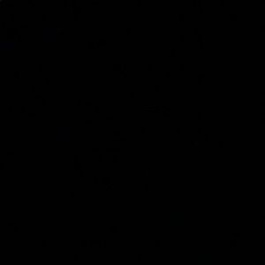 Meet your Posher, Cecelia